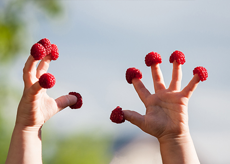 A baby puts a raspberry on each of their fingers